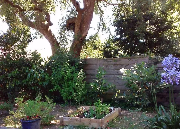 Chambre Privee A Tarnos fotorgafie