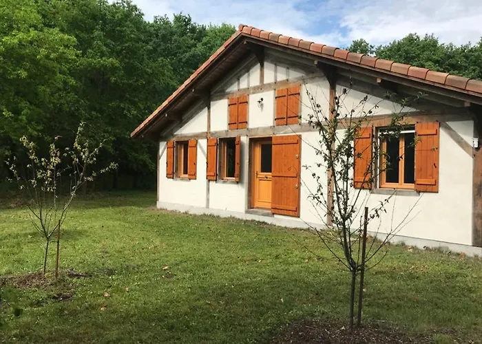 Spa Et Detente Au Coeur De La Foret Des Landes - 3 Etoiles Luglon照片