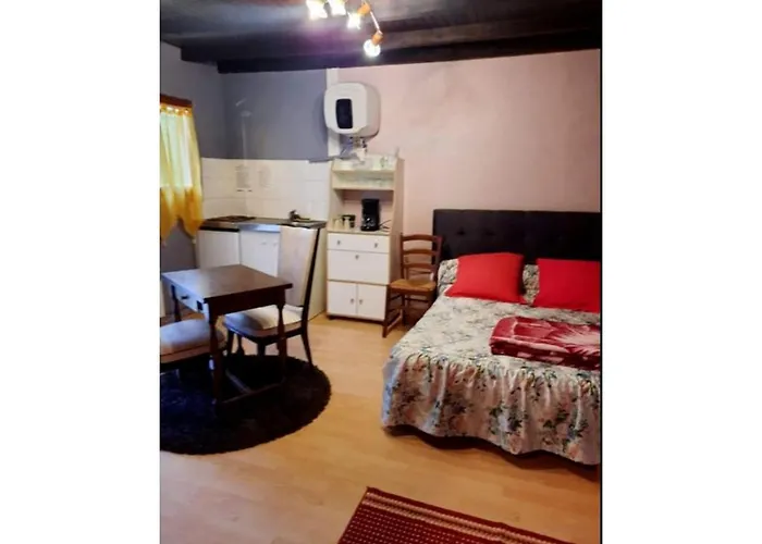 Room In Apartment - Sci La Mijotiere Pont Des Sable 47200 Fourque Sur Garonne Fourques-sur-Garonne foto