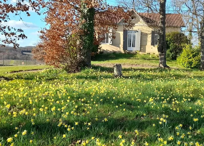 Vila Moulin De Bigorre Saint-Genès-de-Castillon fotorgafie