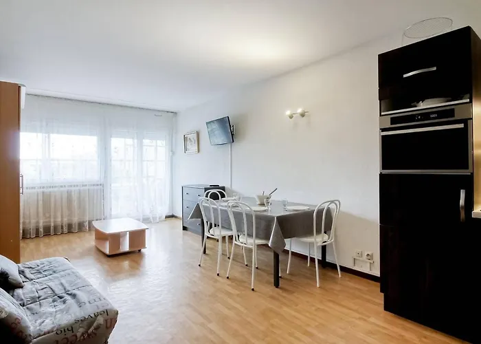 Studio A Gourette - 4 Pers., Balcon, 150M Des Pistes - Fr-1-400-53 photo