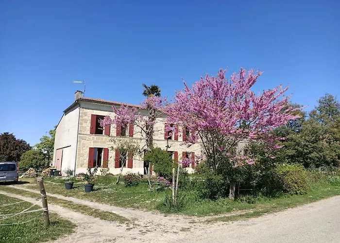 Saint-Michel-LapujadeMaison En Pierre Sur Les Coteaux别墅照片