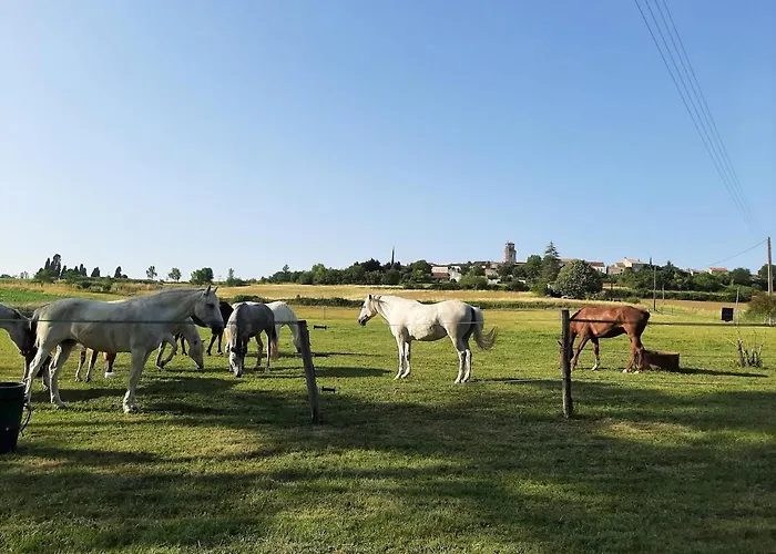 Vila Domaine Laloubin Montagnac-sur-Auvignon fotorgafie
