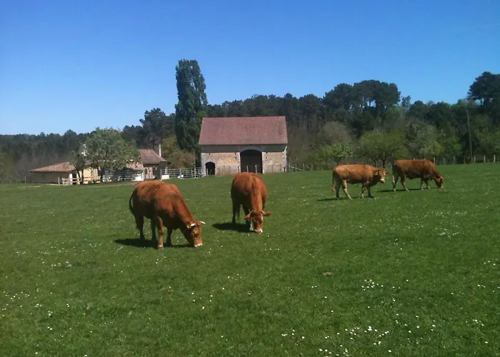 הוילה Saint-Étienne-de-Puycorbier La Tuilliere תמונה