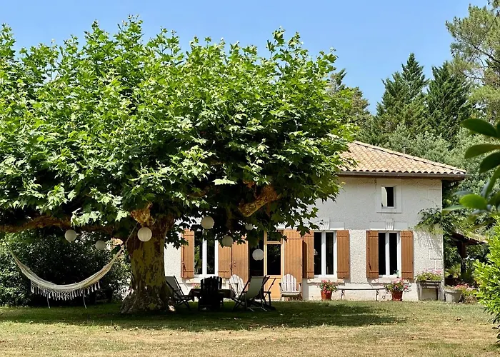 La Ferme Du Miouat Hotel Saint-Julien-en-Born photo
