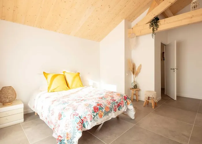 Ted Surf House Bed & Breakfast Capbreton photo