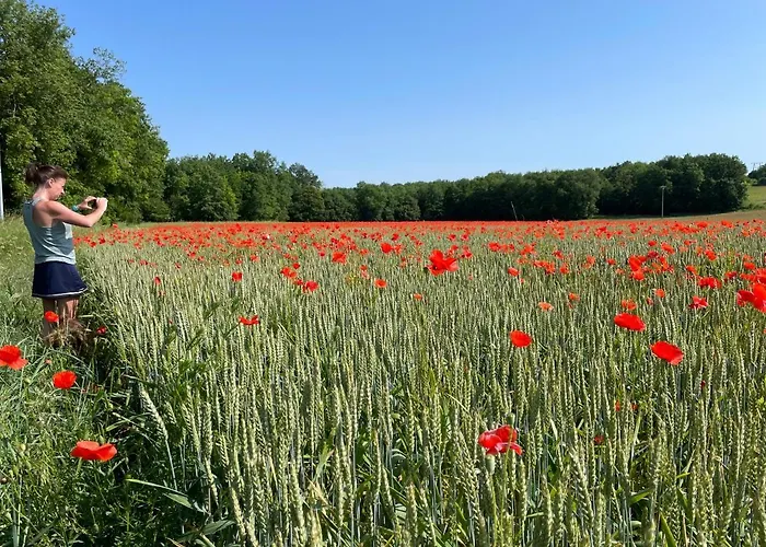 Charmant Gite 6P. Perigord Vert Villa Mareuil-sur-Belle foto