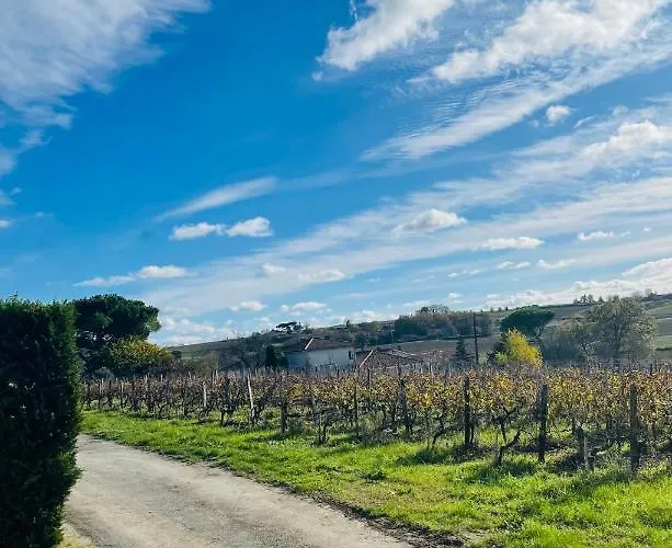 Gite Le Piquet Cars fotorgafie