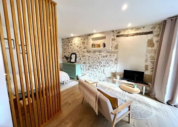 La Merlere : Gite De Charme & Jacuzzi Langon  photo