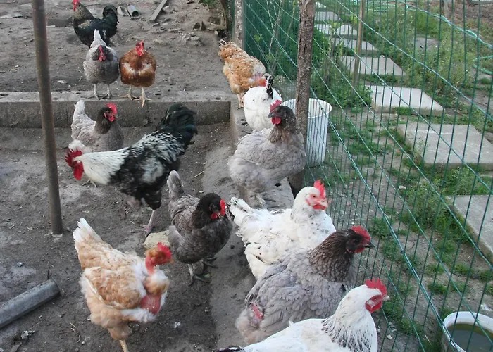 Gite Chez Mamie - 7 Personnes A Sainte Livrade Sur Lot photo