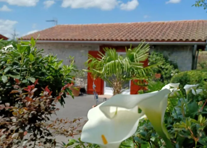 صورة Gite De Charme 3* Saint-Esteben