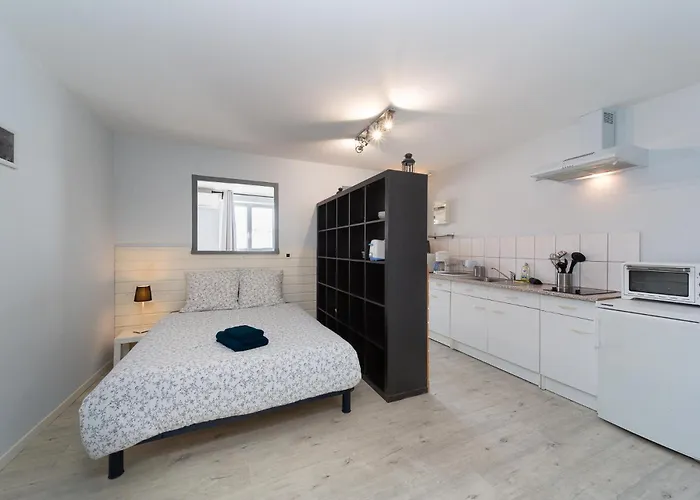 Studio Iris Des Marais - Clim & Parking - Chelona'Loc Braud-et-Saint-Louis fotoğrafı