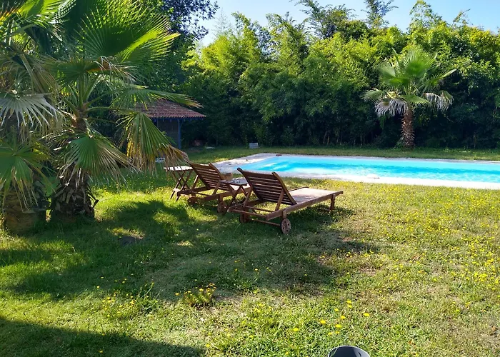 Studio - La Landaise Laluque Foto