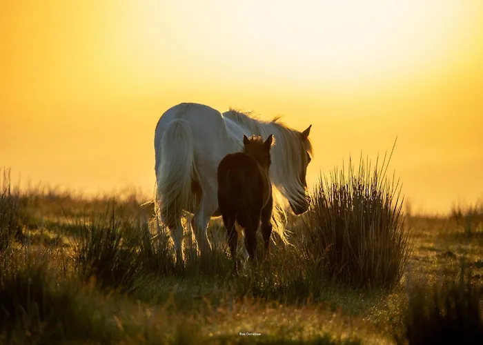 Maison Gure Chokoa Pays Basque Bardos照片
