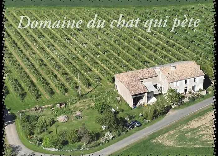 Domaine Du Chat Qui Pete Floudes 사진
