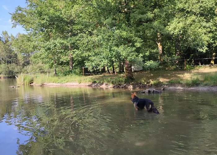Gite Spa Privatif La Roche-Chalais zdjęcie