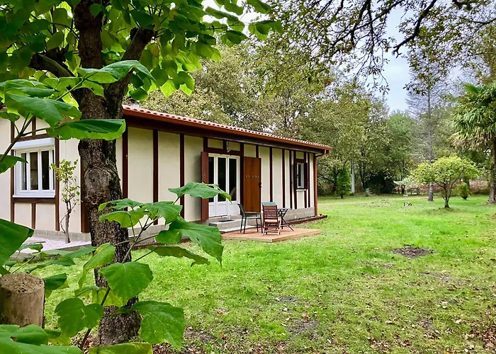 Maison en forêt, calme, proche village et piste cyclable - meublé 3 étoiles Uza foto