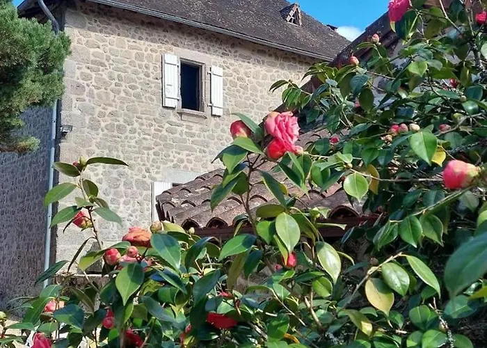 Domaine Le Verger - B&B Pool, Hammam, Kitchen in Saint Estephe Foto
