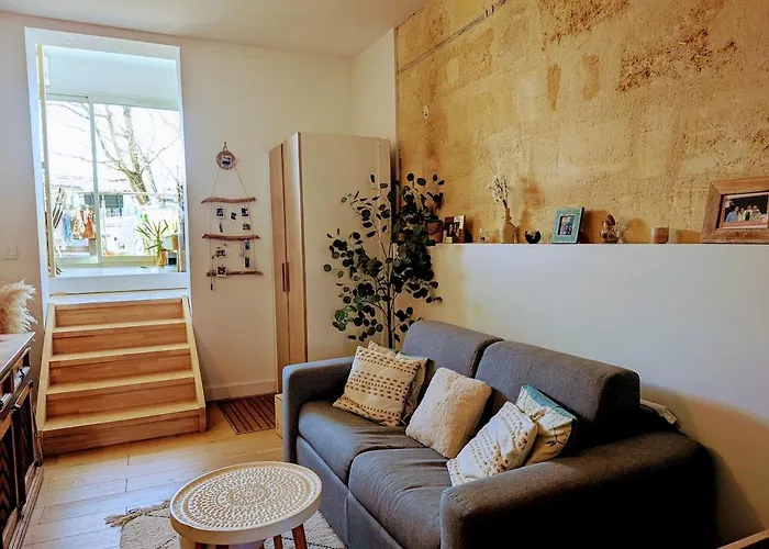 Appartement 55M2 Avec Balcon Talence fotorgafie