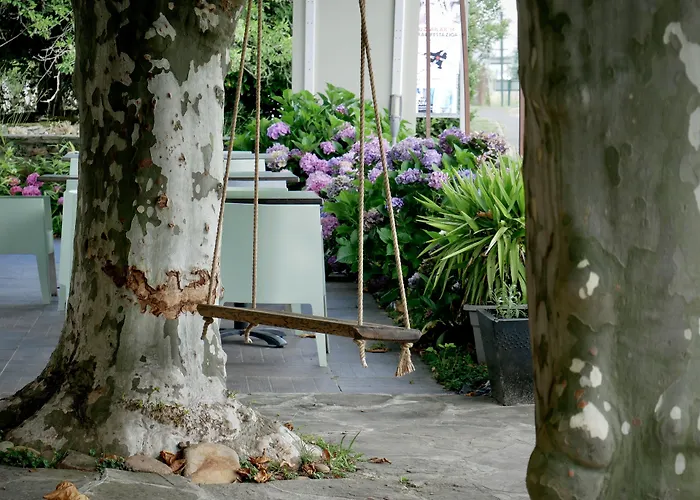 Photo de Hotel Restaurant Trabenia Olhette