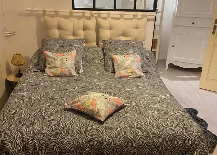 Chambres D'Hotes Spacieuse Camblanes-et-Meynac foto