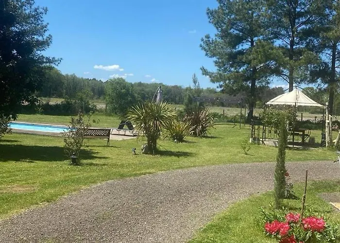 Escapade Paisible Foret Des Landes Vielle-Soubiran Foto