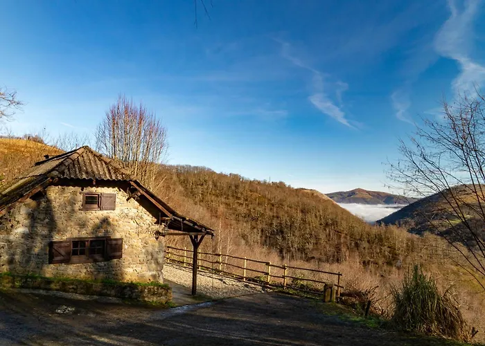 Oihaneko Etxea, La Grange Dans La Foret Licq-Athérey 사진