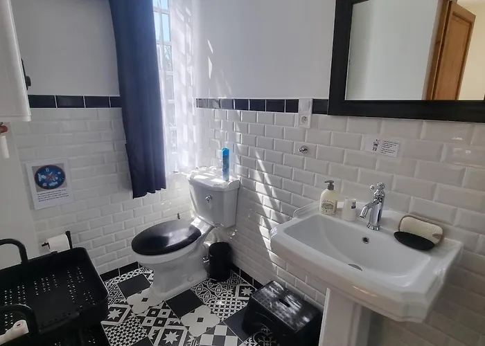 Chateau Sora Warm Stay With Swimming Pool For 16 Saint-Ciers-d'Abzac fotoğrafı