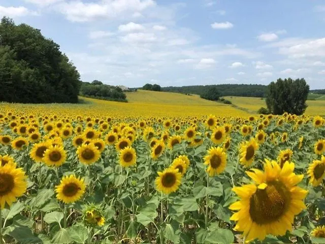 La Maisonnette, Elegant Couple'S Retreat Sainte-Colombe-de-Duras foto