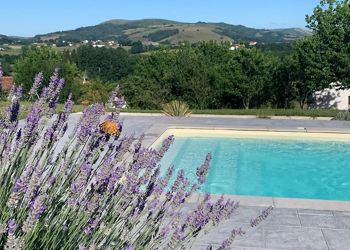 Фото Le Cocon Laina Piscine & Spa Optionnel Irissarry