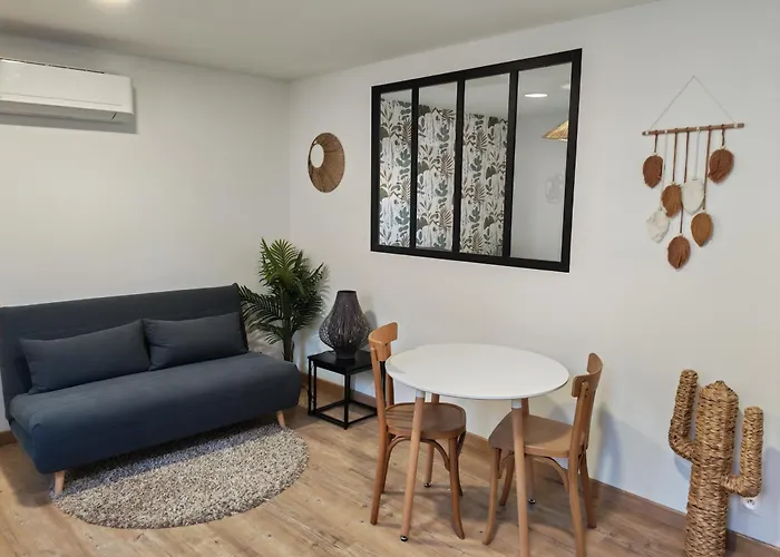 Roger'S Appartement Larriviere-Saint-Savin foto