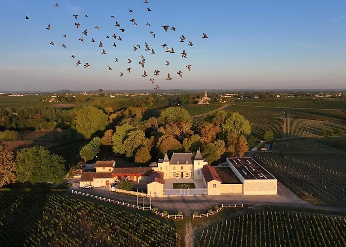 Chateau Moncets Néac foto