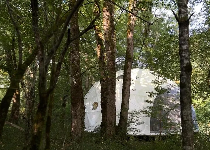 Dome En Foret Saint-Just  foto