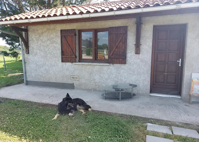 Photo de Petite maison au coeur des vignes et des chevaux Saint-Denis-de-Pile