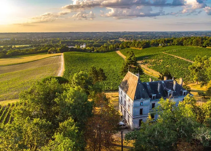 Chateau Perrin D'Hoge Hotel Bonzac photo