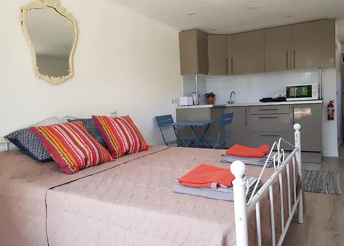 Les Glycines Studio Apartment Peyrignac φωτογραφία